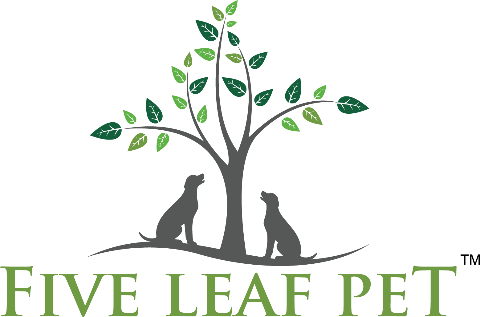 Main Logo Transparent